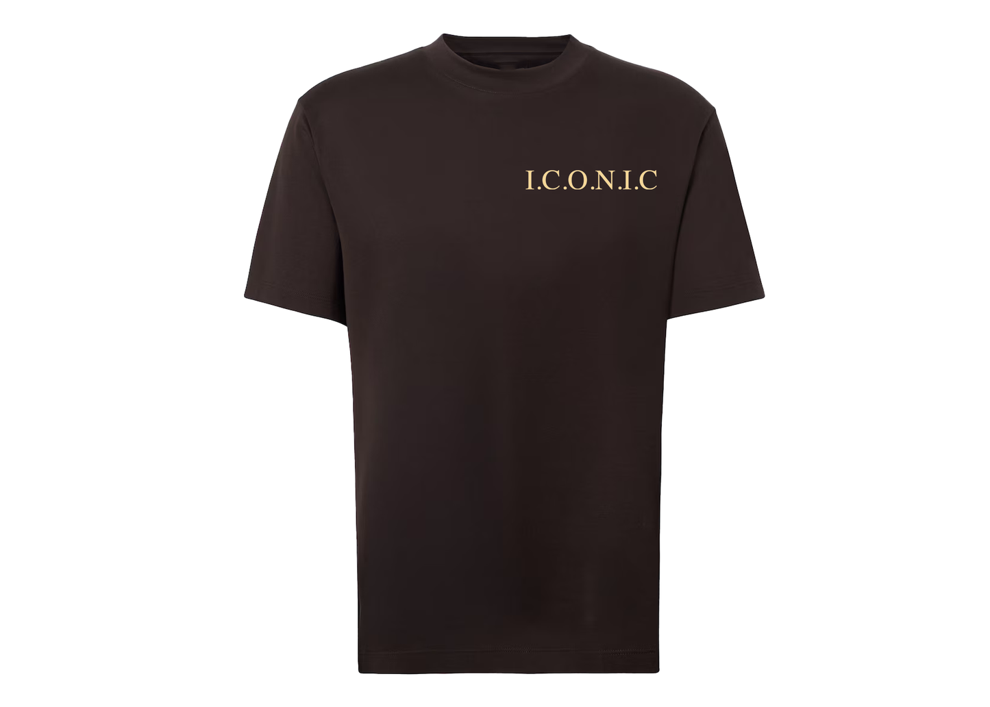 Brown Iconic Embroidered T-Shirt